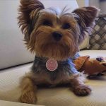 Minnie