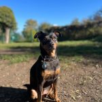 Milo